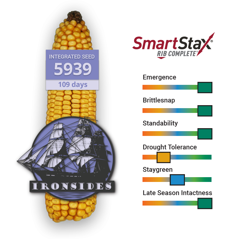 5939-ss-rib-109-days-integrated-seed-online